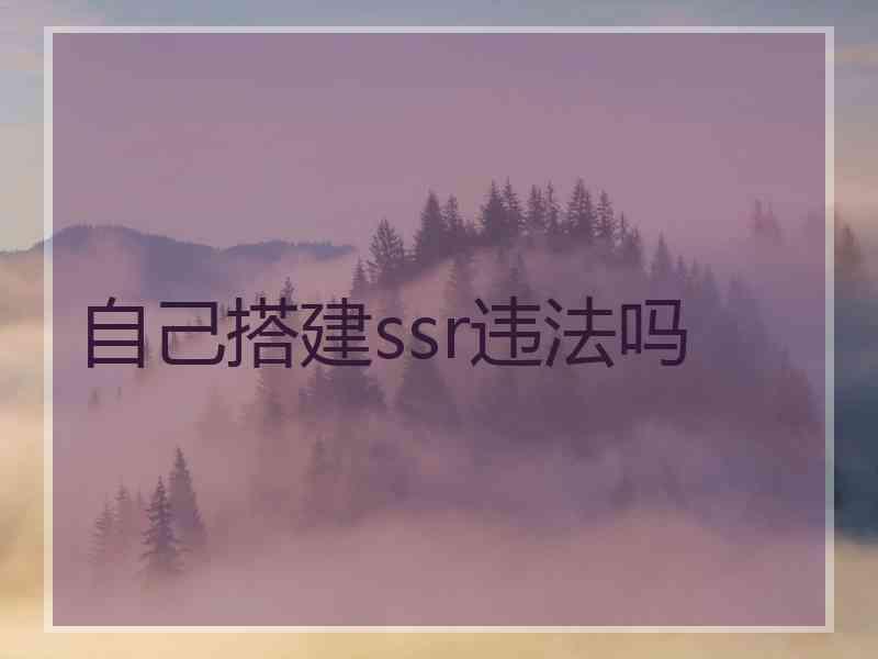 自己搭建ssr违法吗