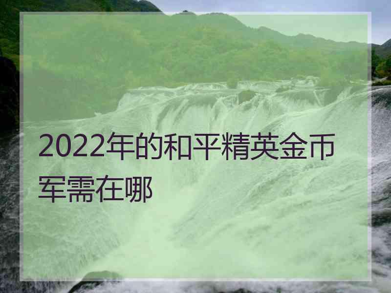 2022年的和平精英金币军需在哪