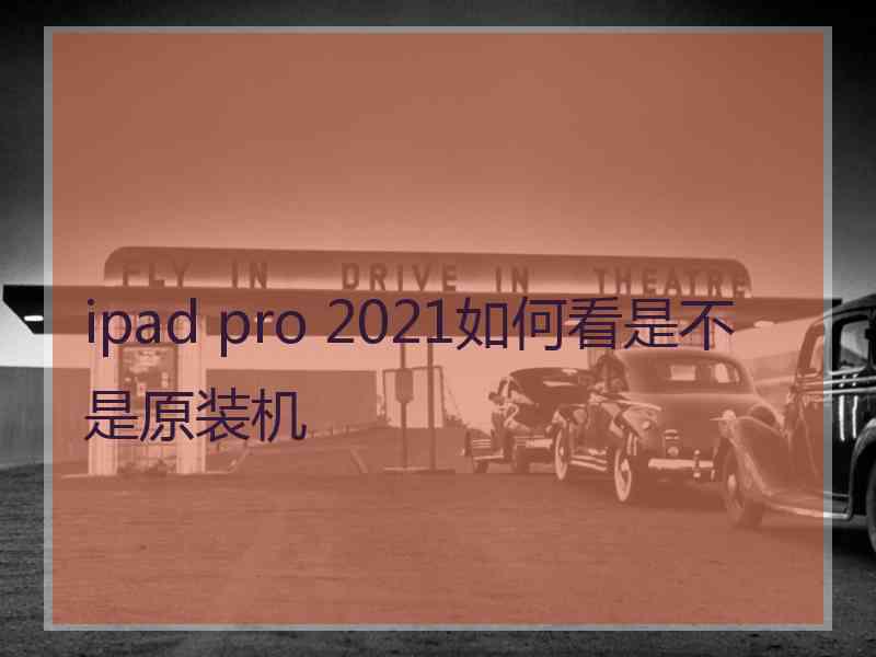 ipad pro 2021如何看是不是原装机