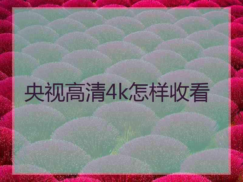 央视高清4k怎样收看