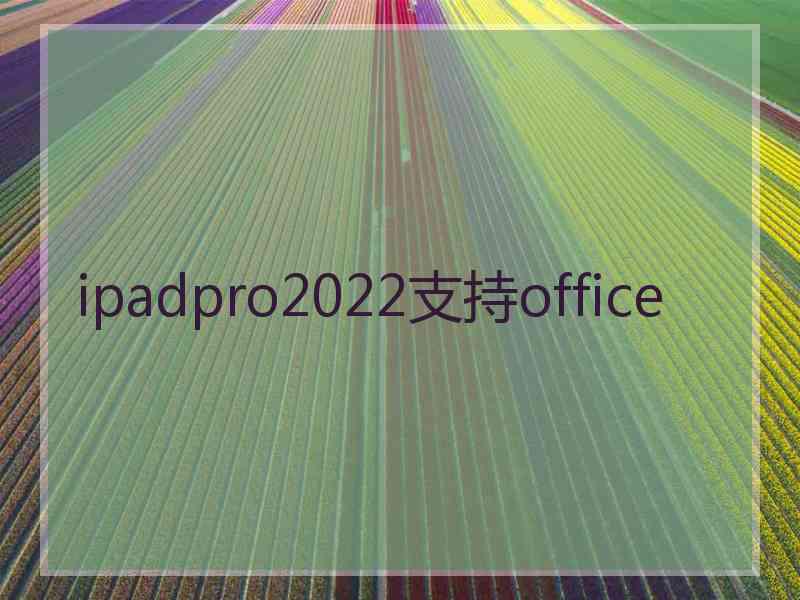 ipadpro2022支持office