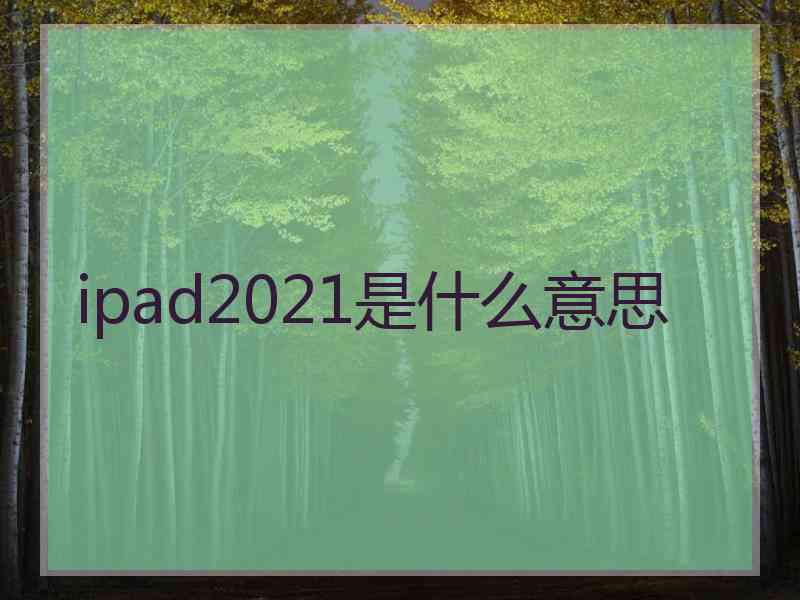 ipad2021是什么意思