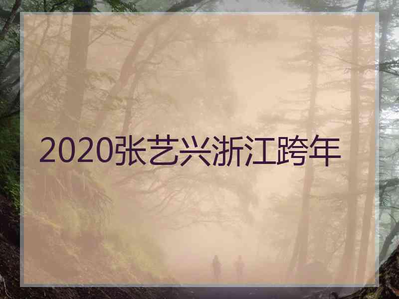 2020张艺兴浙江跨年