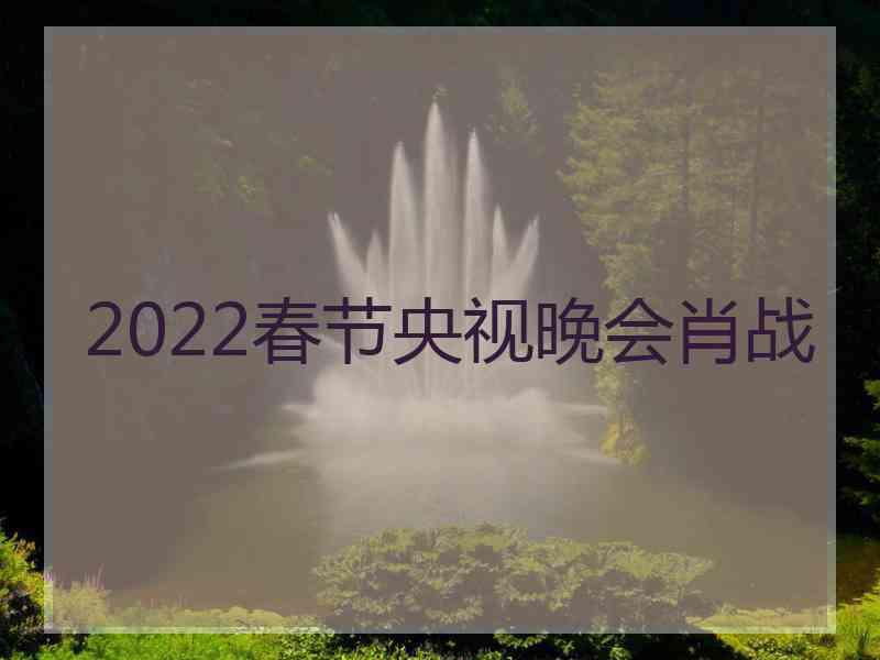 2022春节央视晚会肖战