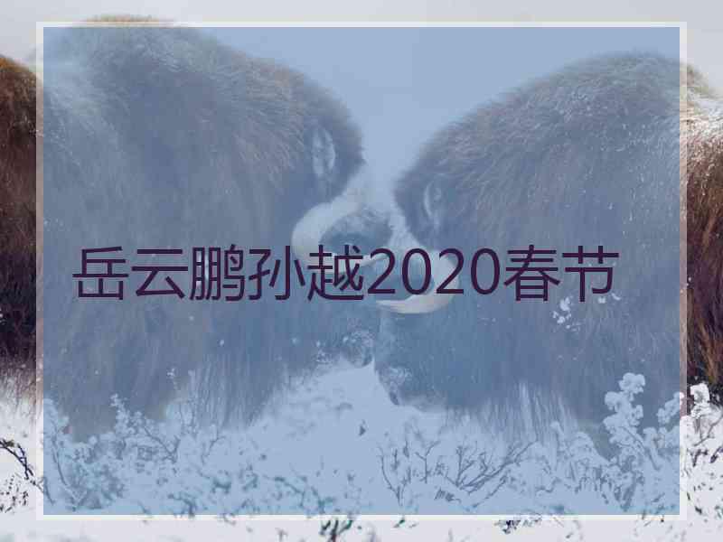 岳云鹏孙越2020春节