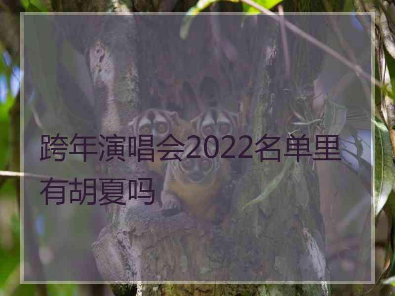 跨年演唱会2022名单里有胡夏吗