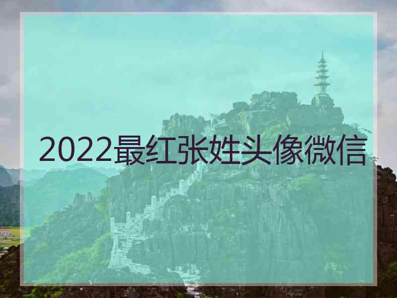 2022最红张姓头像微信