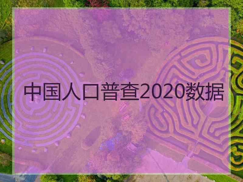 中国人口普查2020数据