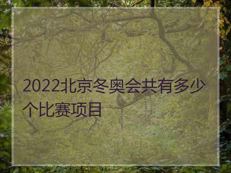 2022北京冬奥会共有多少个比赛项目