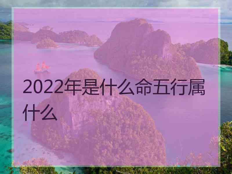 2022年是什么命五行属什么