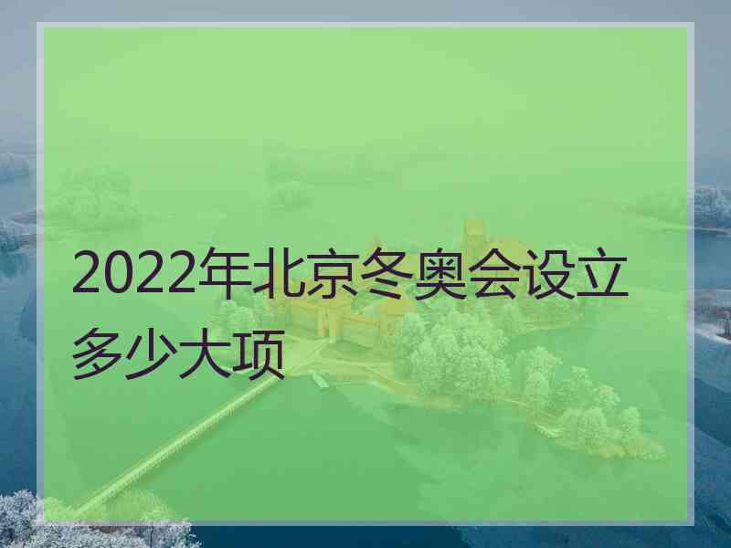 2022年北京冬奥会设立多少大项