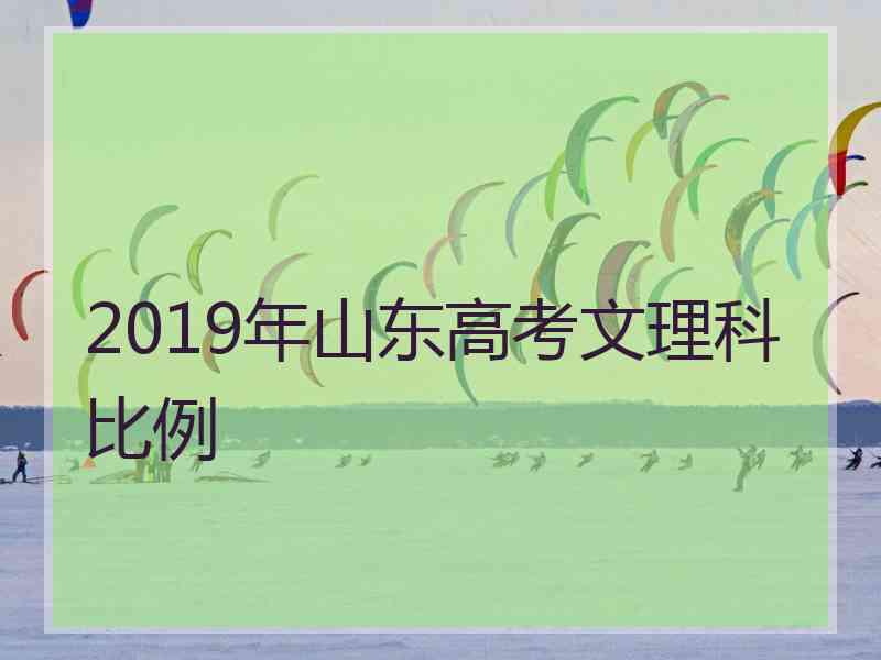 2019年山东高考文理科比例