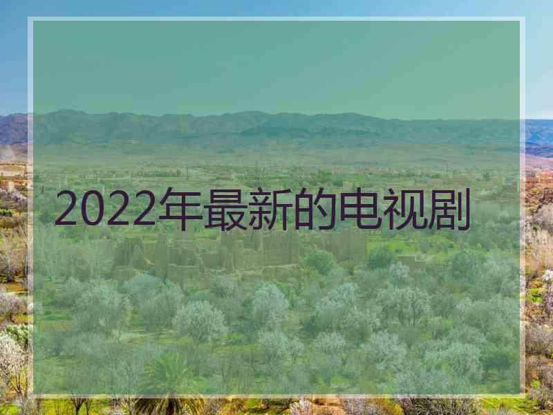 2022年最新的电视剧