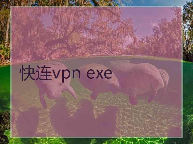 快连vpn exe