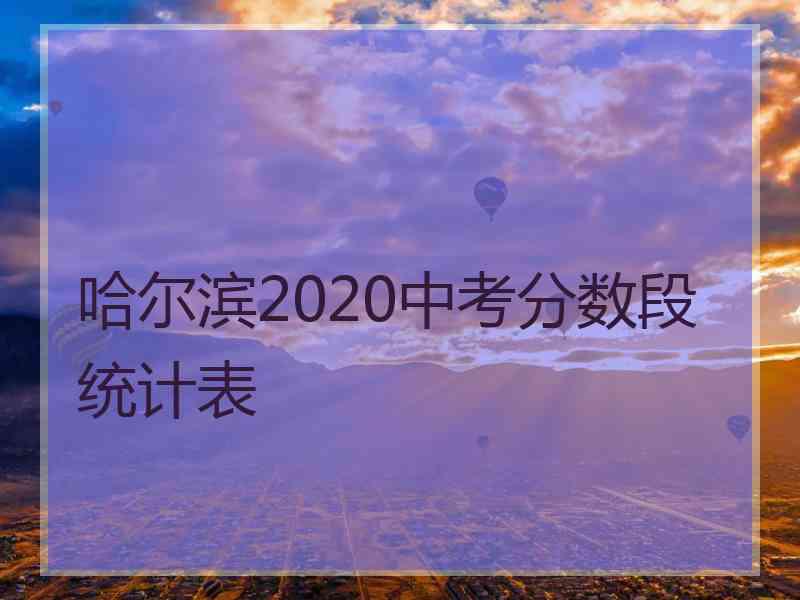 哈尔滨2020中考分数段统计表