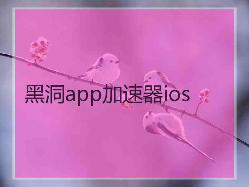 黑洞app加速器ios