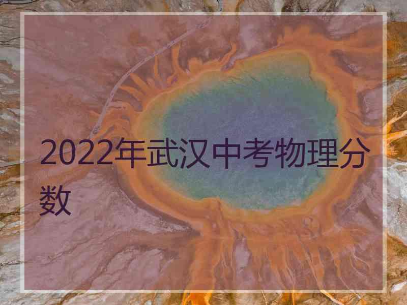 2022年武汉中考物理分数