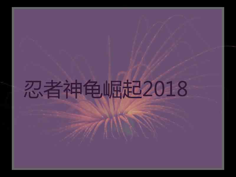 忍者神龟崛起2018