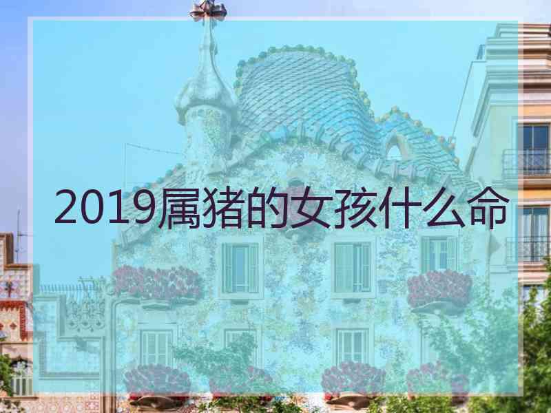 2019属猪的女孩什么命