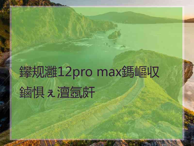 鑻规灉12pro max鎷嶇収鏀惧ぇ澶氬皯