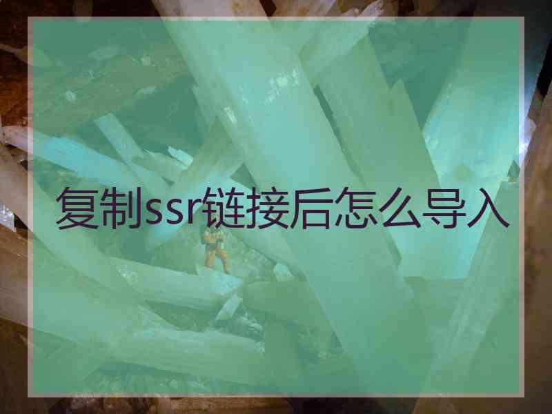 复制ssr链接后怎么导入