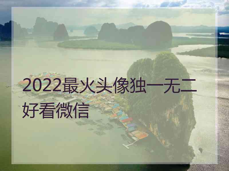 2022最火头像独一无二好看微信