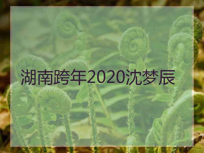 湖南跨年2020沈梦辰