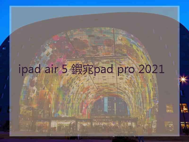 ipad air 5 鍜宨pad pro 2021