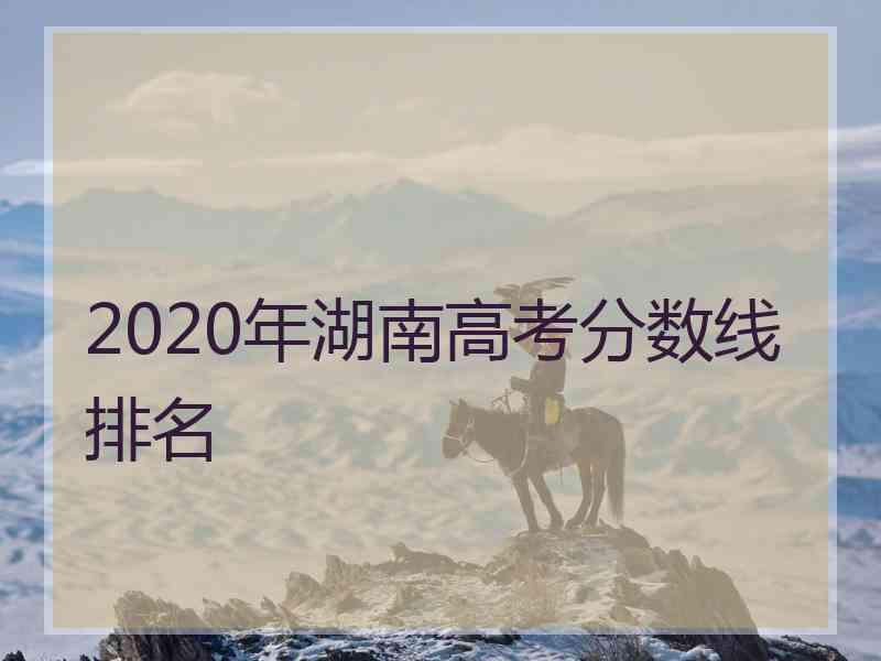 2020年湖南高考分数线排名