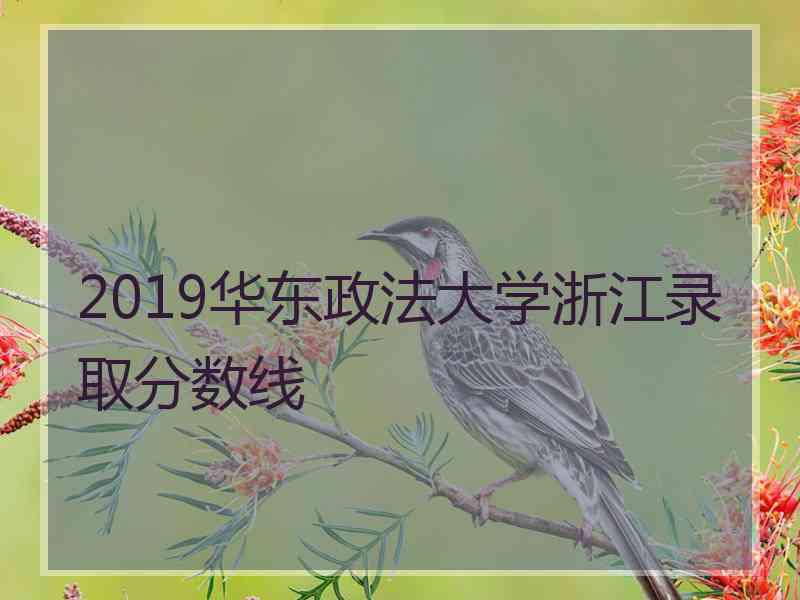 2019华东政法大学浙江录取分数线