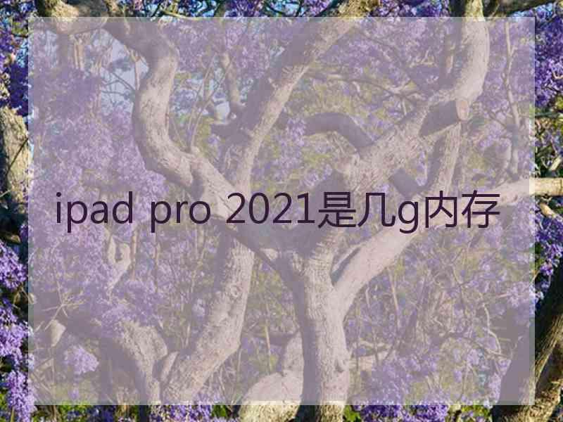 ipad pro 2021是几g内存