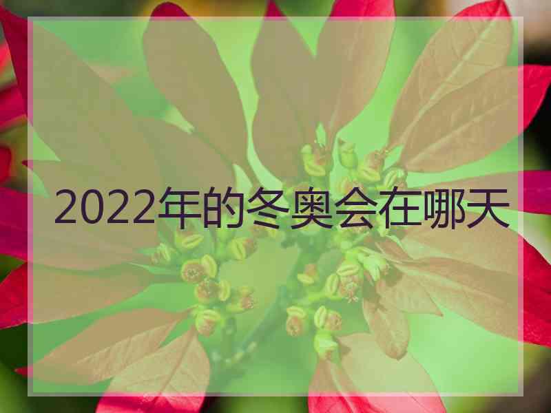 2022年的冬奥会在哪天