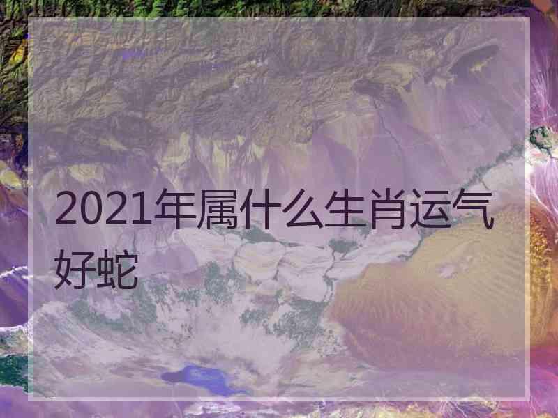 2021年属什么生肖运气好蛇