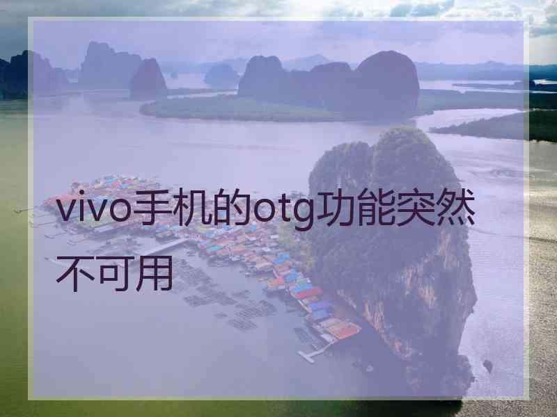 vivo手机的otg功能突然不可用