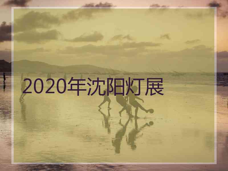 2020年沈阳灯展