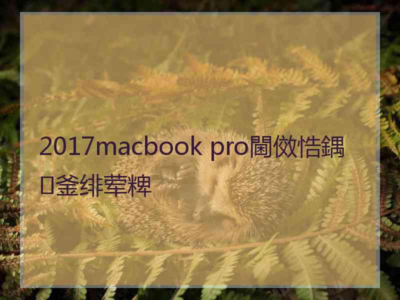 2017macbook pro閫傚悎鍝釜绯荤粺