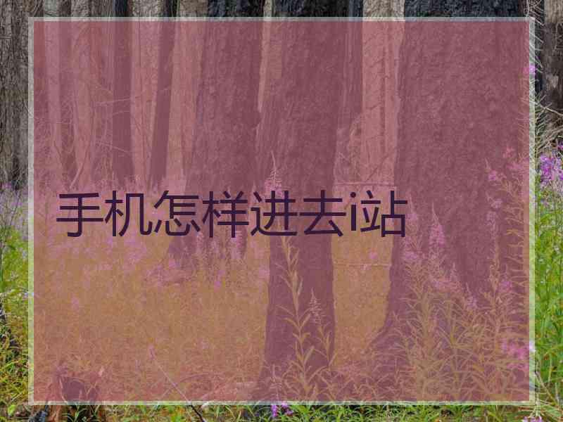 手机怎样进去i站