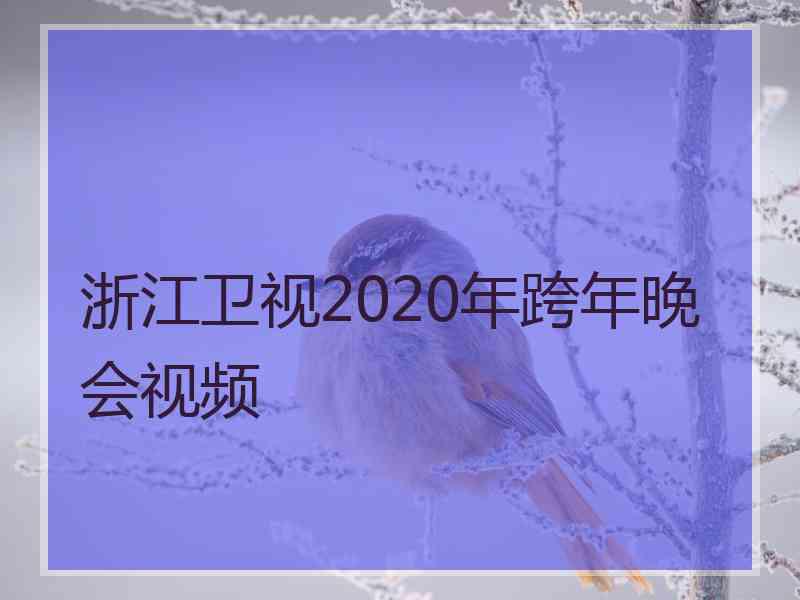 浙江卫视2020年跨年晚会视频