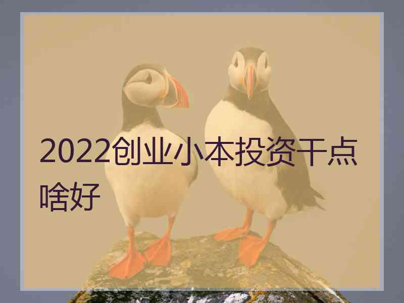 2022创业小本投资干点啥好