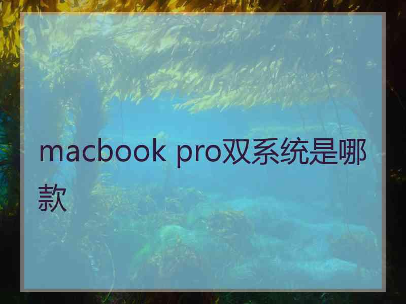 macbook pro双系统是哪款