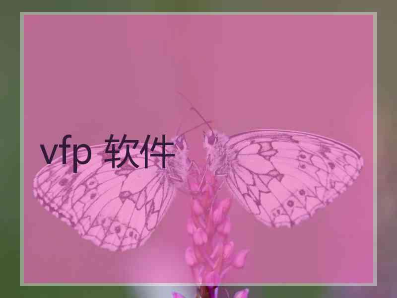 vfp 软件