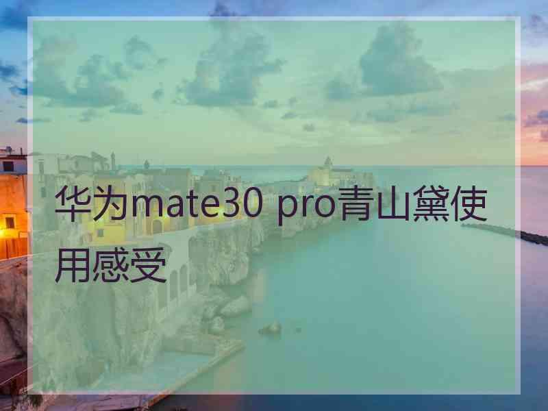 华为mate30 pro青山黛使用感受