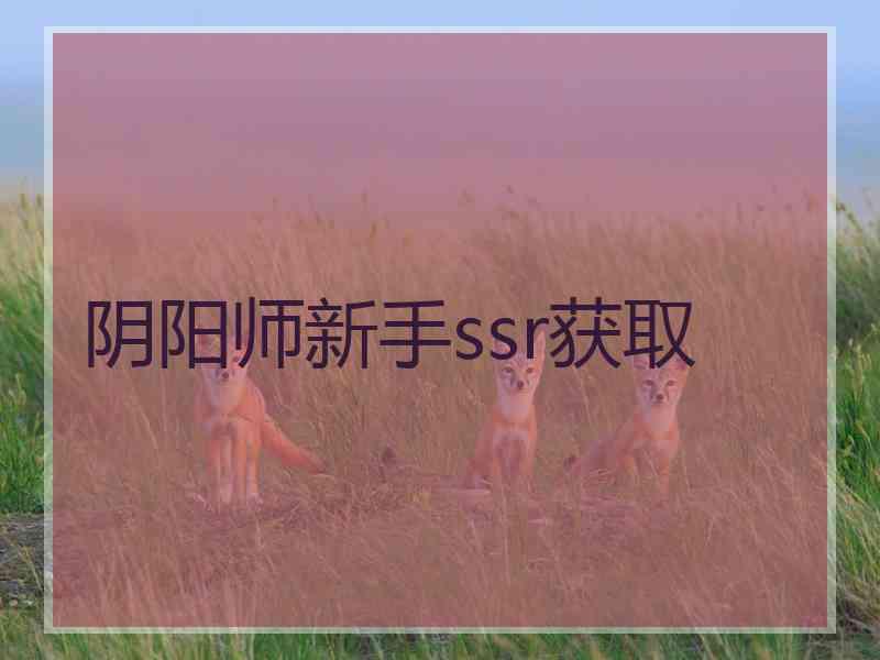 阴阳师新手ssr获取