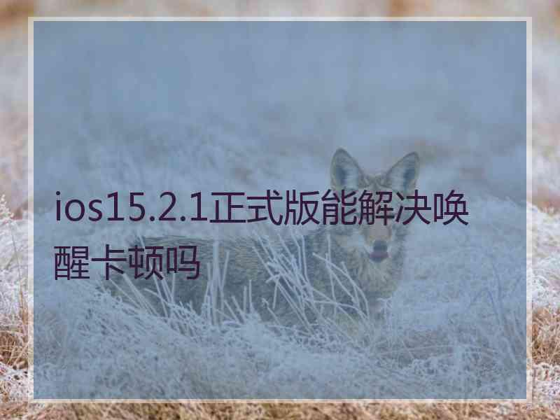 ios15.2.1正式版能解决唤醒卡顿吗