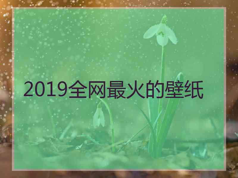 2019全网最火的壁纸