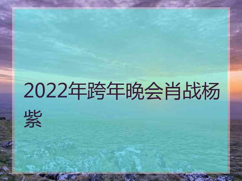 2022年跨年晚会肖战杨紫