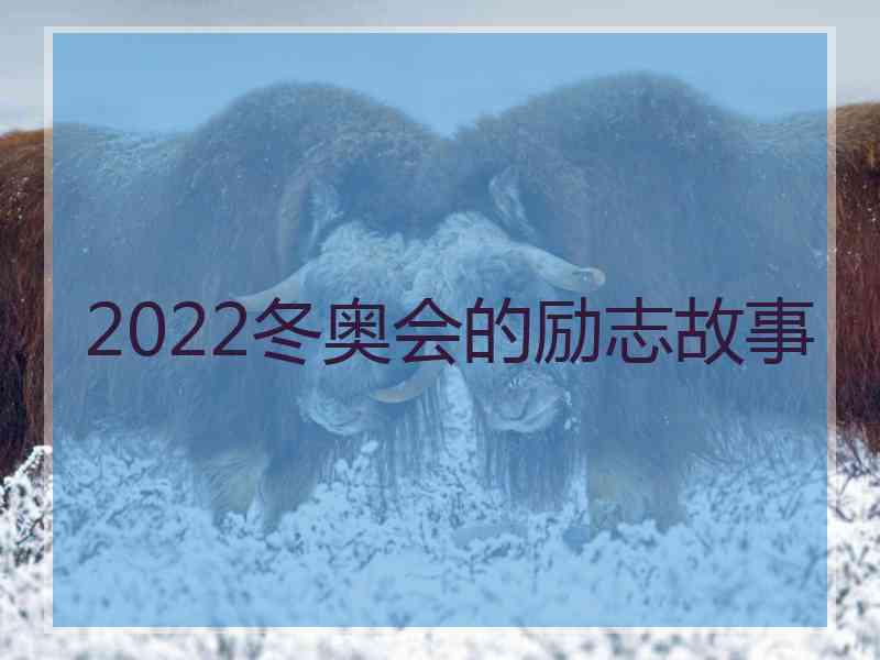 2022冬奥会的励志故事