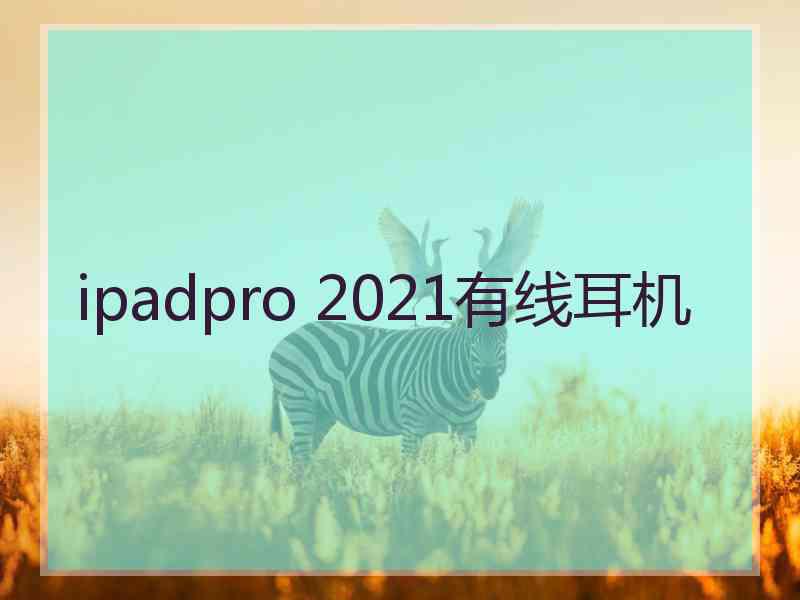 ipadpro 2021有线耳机