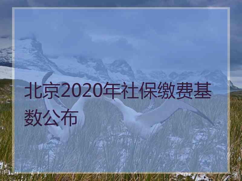 北京2020年社保缴费基数公布