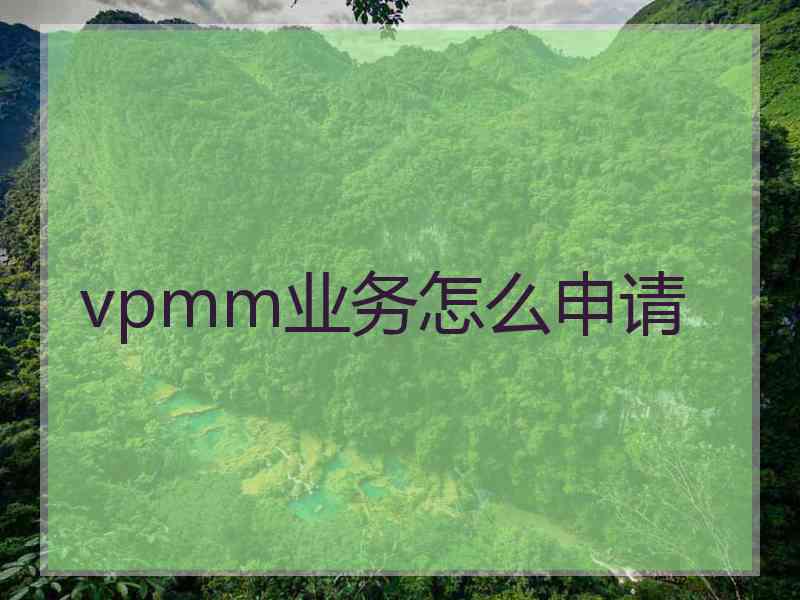 vpmm业务怎么申请